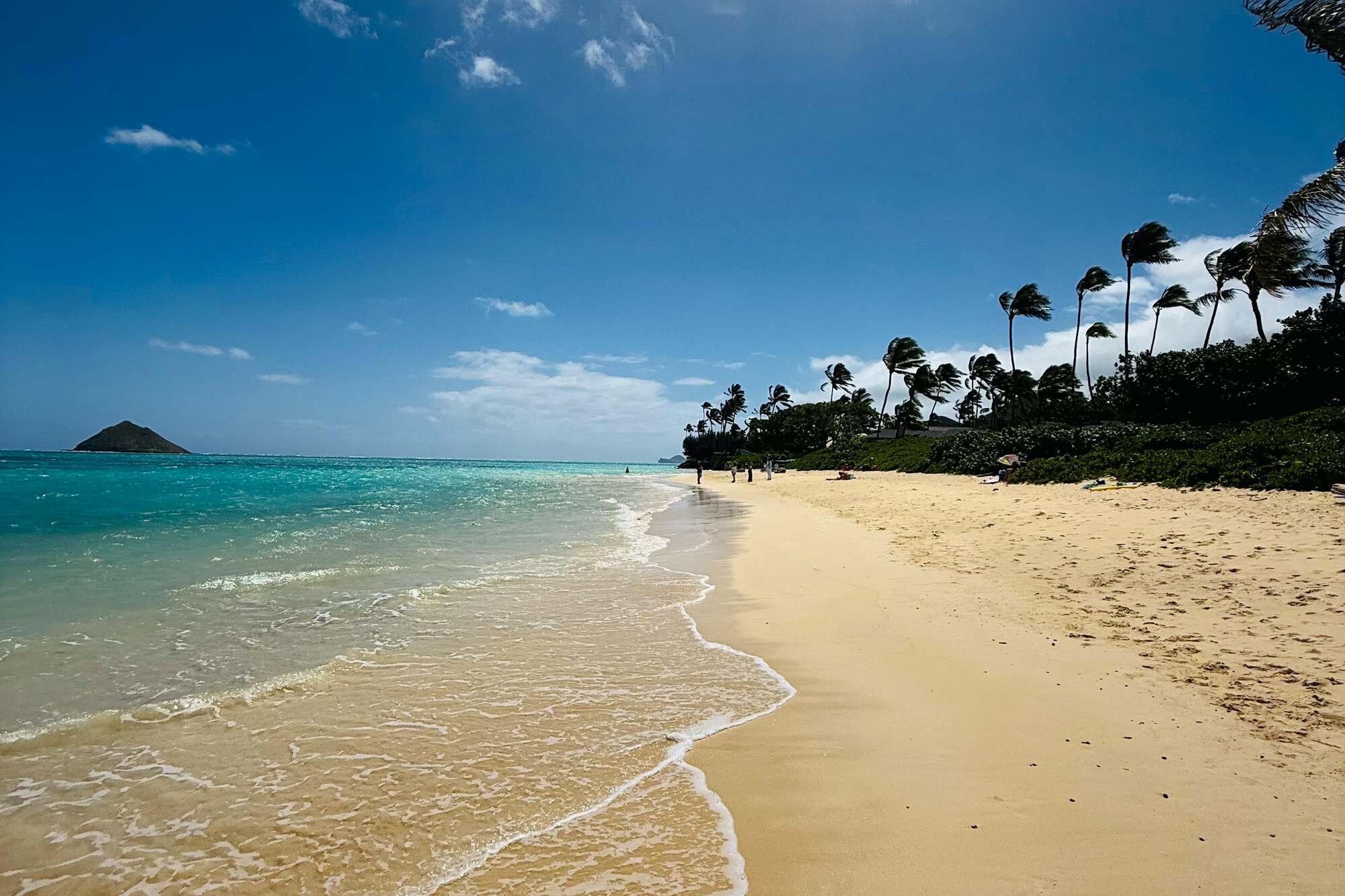 lanikai-beach-oahu-hawaii-turquoise-water The pristine white sand shore of Lanikai Beach on Oahu with calm turquoise water and the twin Mokulua islands in the distance, framed by swaying palm trees under a bright blue sky