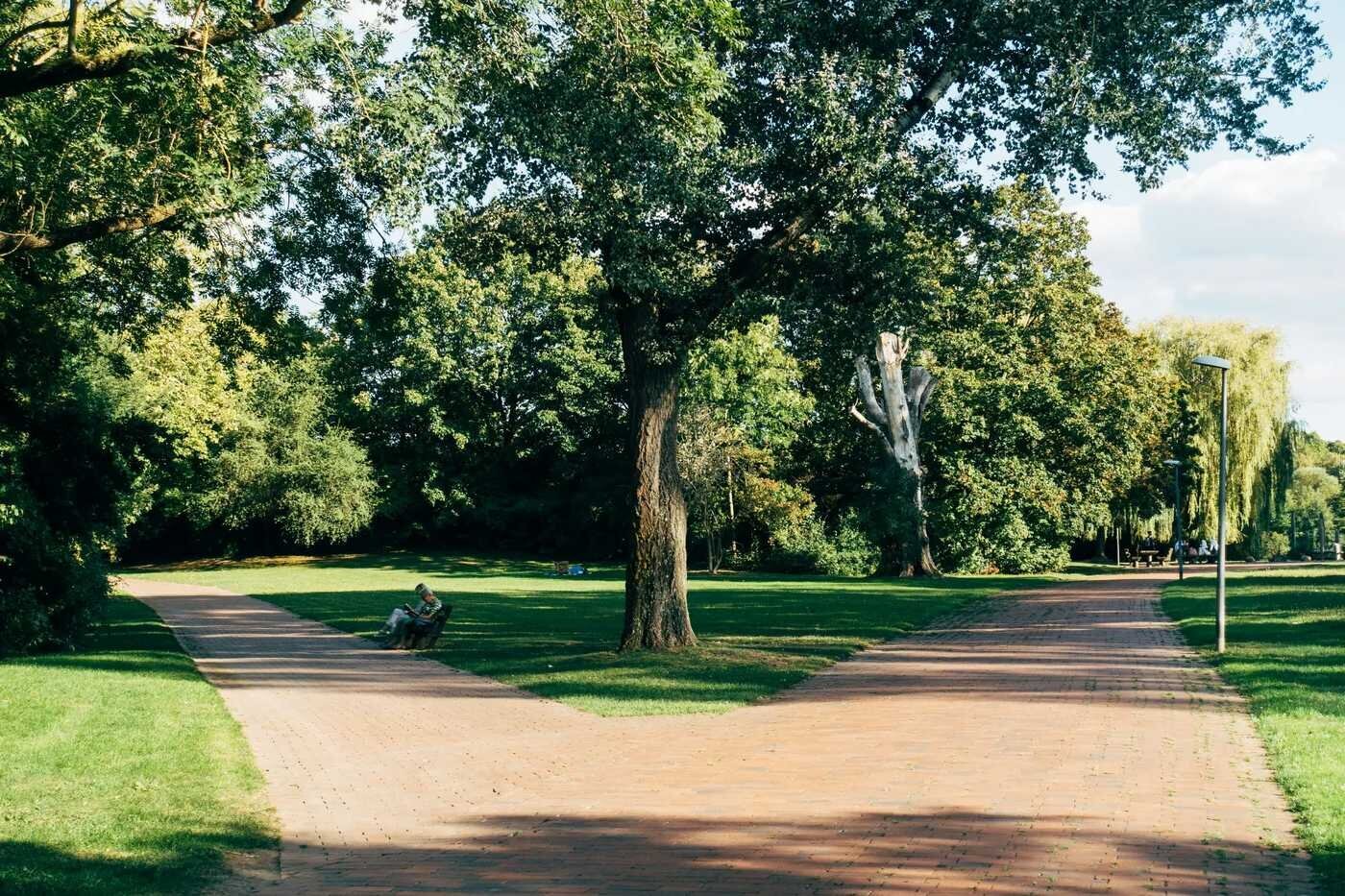 Tree-lined walking paths and lush greenery at Lake Eola Park in Orlando, a scenic backdrop for engagement photos