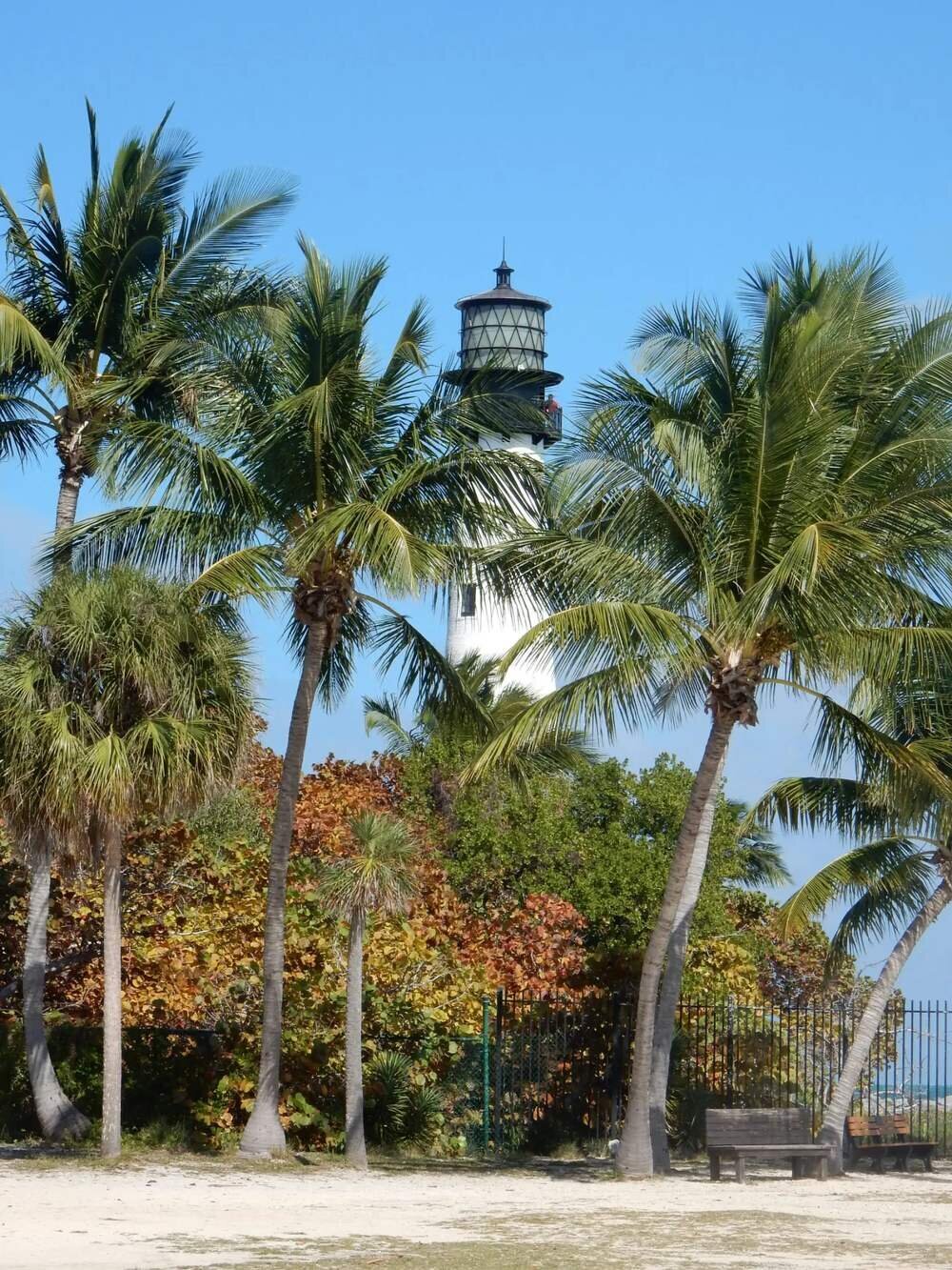 Lighthouse surrounded by palm trees on the beach at Key Biscayne Miami, a quiet and scenic engagement photo location