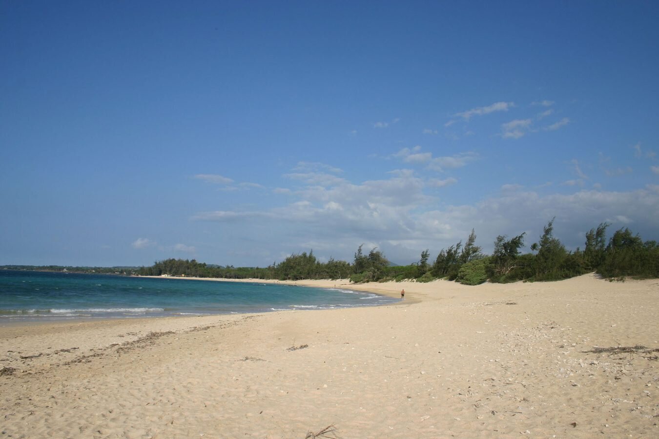 baldwin-beach-north-shore-maui-photographer A long, nearly empty beach of pale sand curving along blue water, backed by windswept trees, at Baldwin Beach on Maui