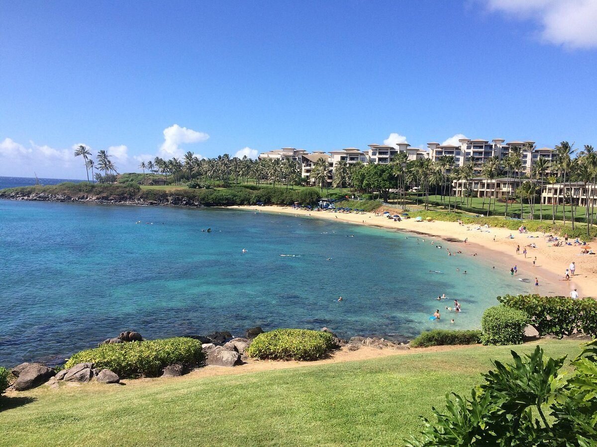 kapalua-bay-beach-maui-photographer Swimmers in the calm, clear water of a crescent-shaped bay with a sandy beach, palm trees and resort buildings at Kapalua Bay on Maui