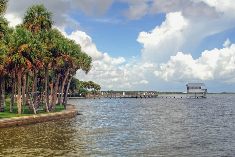 Palm-lined Florida lakefront with a wooden dock and open water at Lake Louisa State Park, a scenic Orlando family photography location in Clermont
