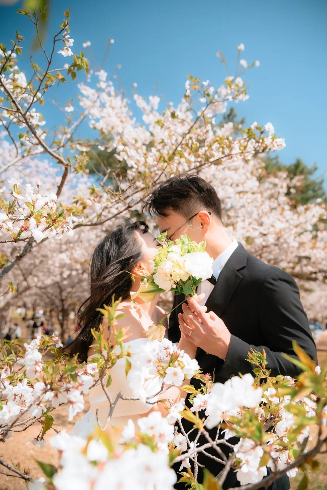 A couple sharing a romantic moment surrounded by cherry blossom trees in full bloom during a professional photo session in Fukuoka, Japan