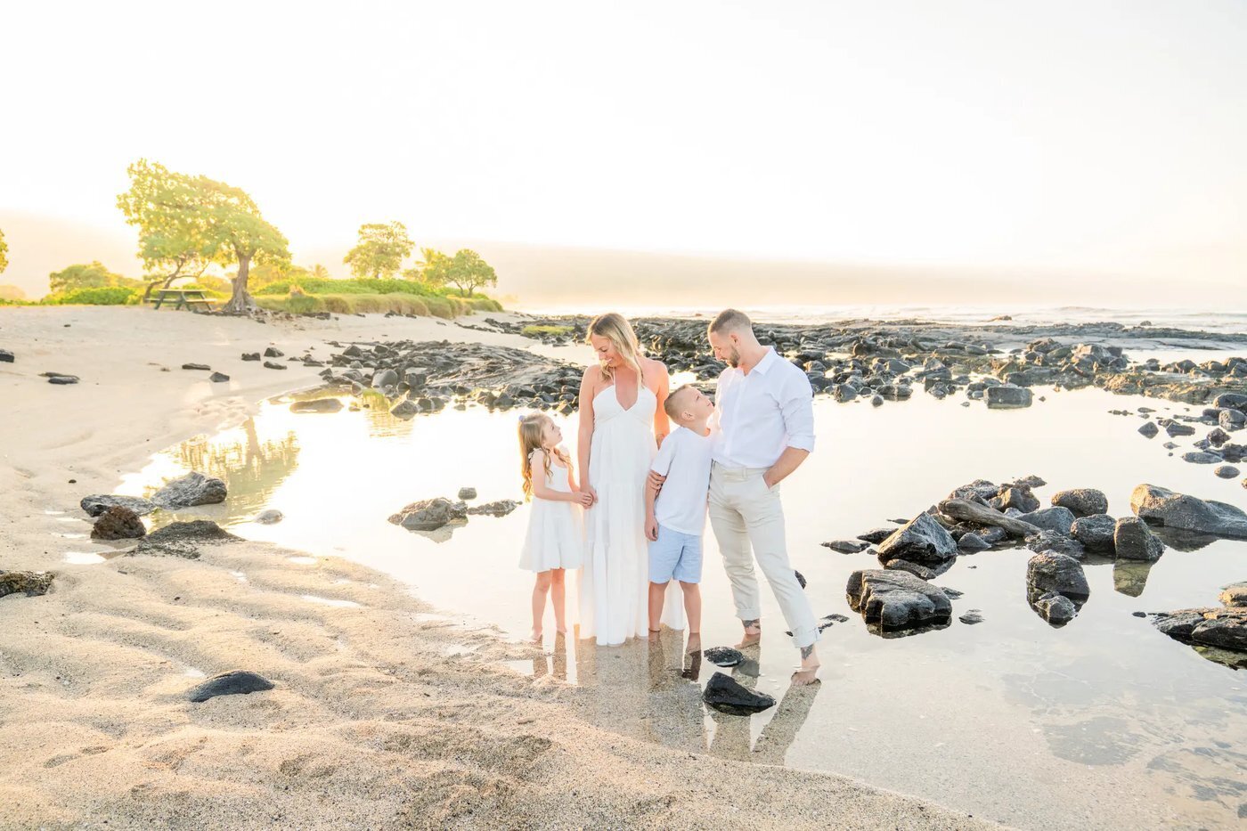 A family of four standing together on a lava rock beach on the Big Island of Hawaii during golden hour with a tide pool and tropical trees in the background