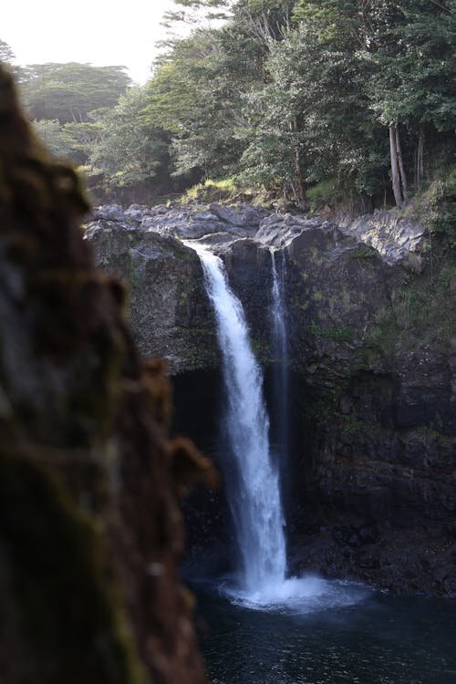 A dramatic waterfall cascading through lush green rainforest in Hilo on the Big Island of Hawaii