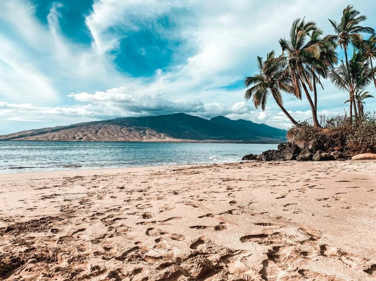 Footprints across a sandy beach with leaning palm trees, dark rocks and mountains across the calm water under streaky clouds in Maui
