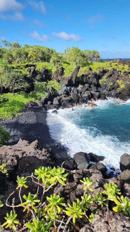 Dramatic black sand beach with lava rocks and crashing waves at Punaluʻu on the Big Island of Hawaii
