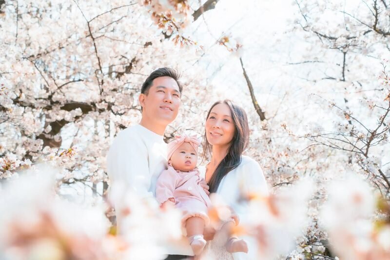 A family of three — parents holding their baby — surrounded by cherry blossoms in full bloom during a professional photo session in Fukuoka, Japan