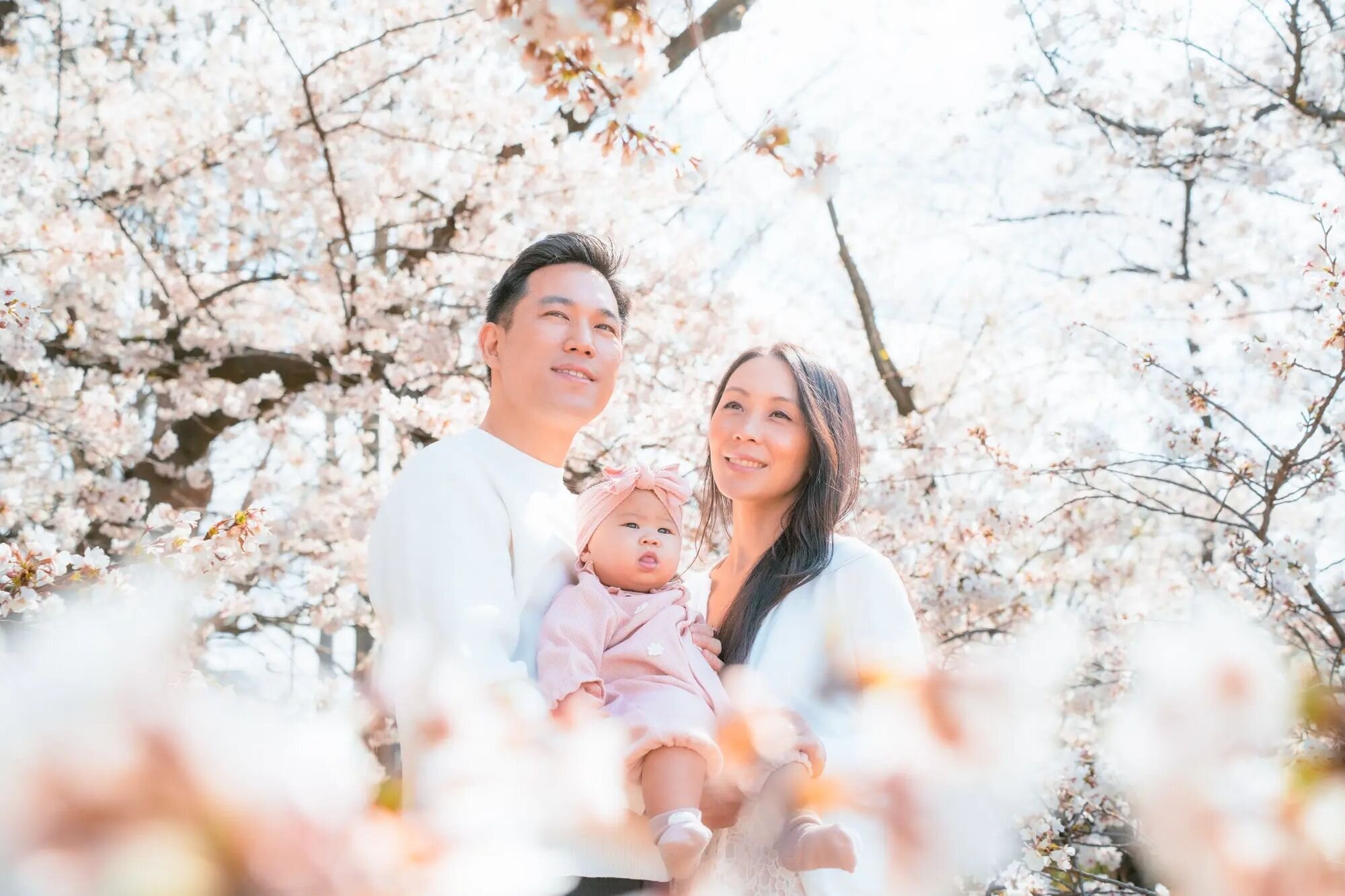 A family of three — parents holding their baby — surrounded by cherry blossoms in full bloom during a professional photo session in Fukuoka, Japan