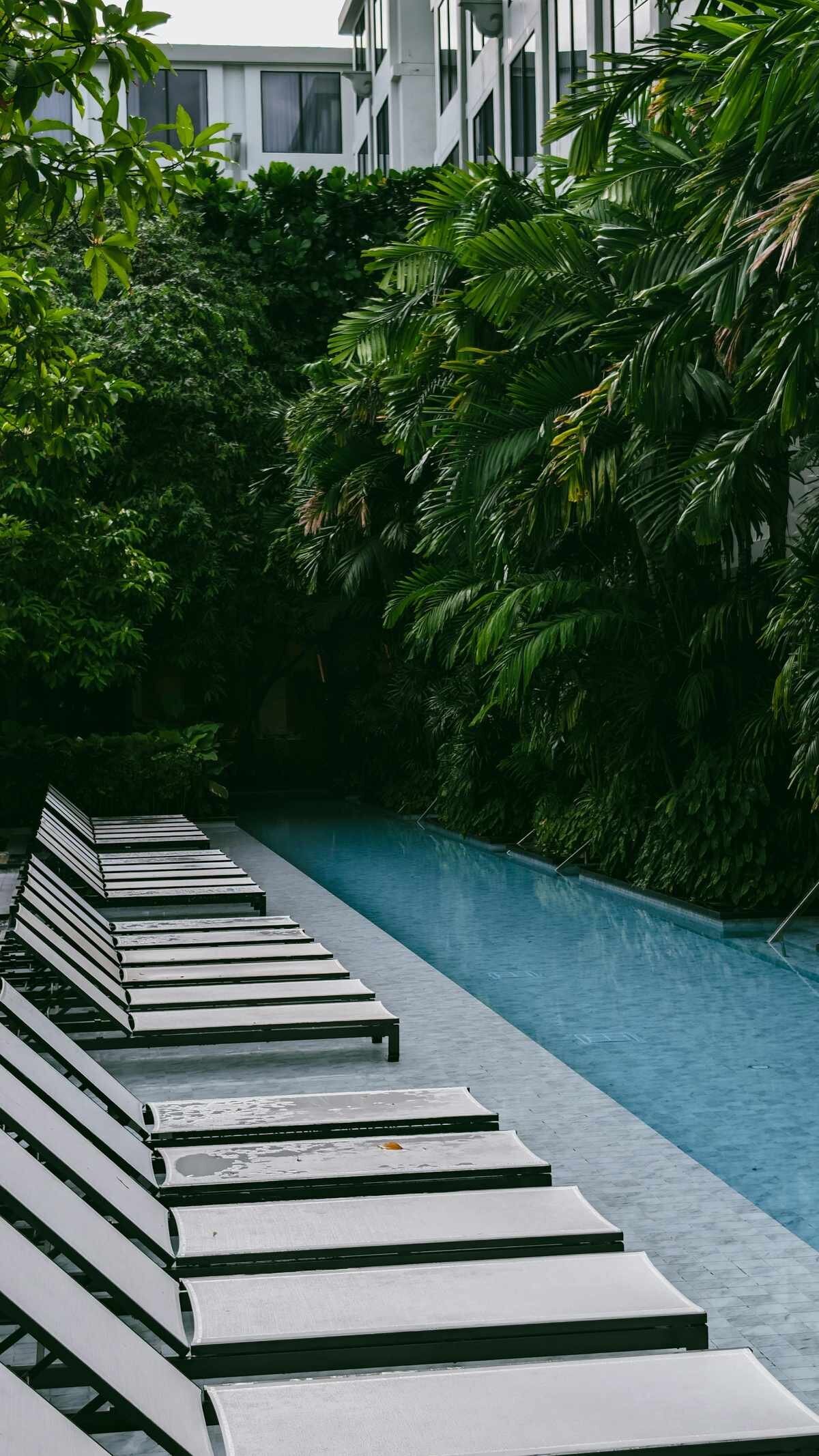 Tropical resort pool surrounded by lush palm trees and lounge chairs, representing Orlando resort and hotel family photography sessions near Disney and Universal