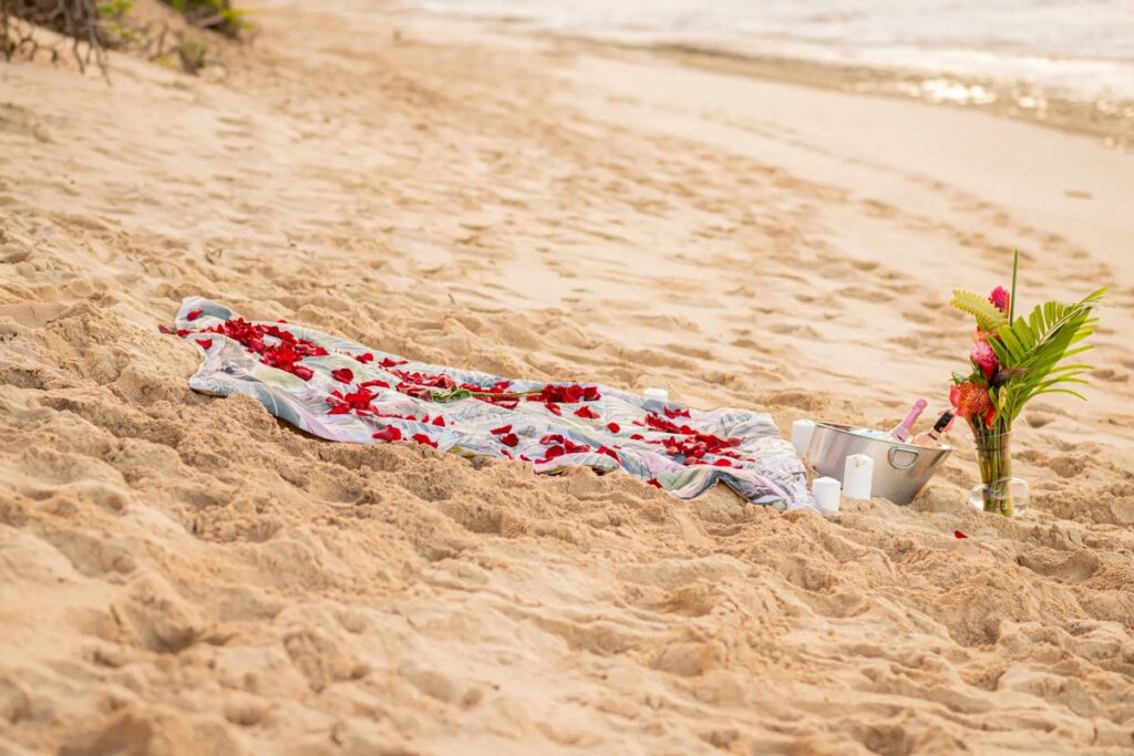 A beautiful beach picnic proposal setup featuring a blanket, rose petals, tropical flowers, and champagne on a Hawaii beach.